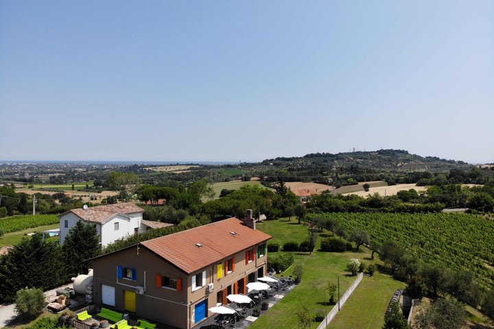 Organic Wine Tasting and Local Food with View near Rimini