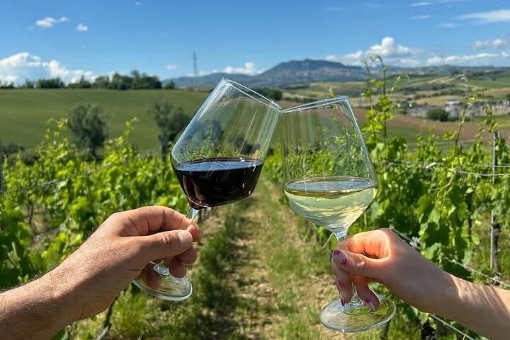 Organic Wine Tasting and Local Food with View near Rimini