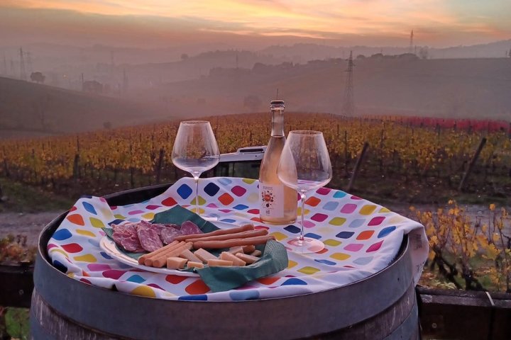 Organic Wine Tasting and Local Food with View near Rimini