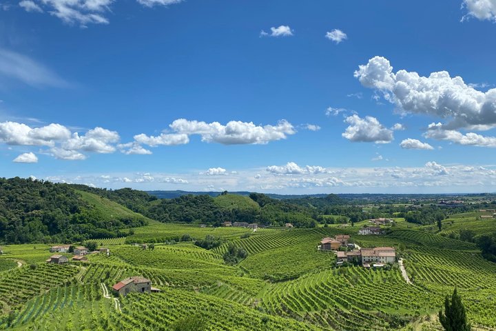 Tour in the Prosecco Hills Tour from Padua