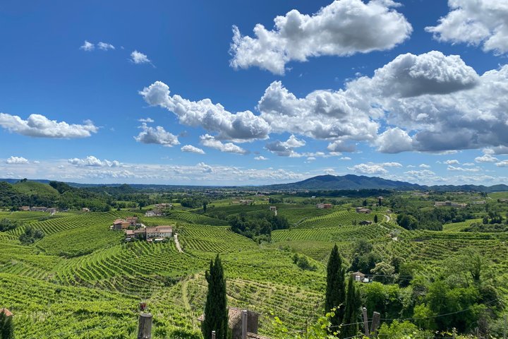 Tour in the Prosecco Hills Tour from Padua