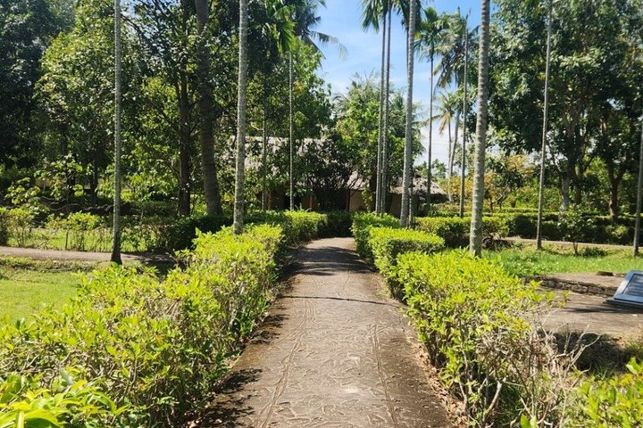 WAR TOUR to MY LAI MASSACRE & KY ANH TUNNELS & GOLDEN PAGODA