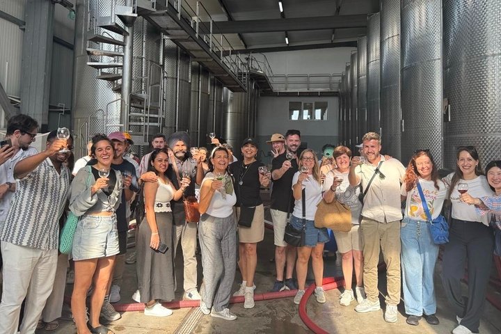 Day Trip to Kakheti Wine Region Including 9 Wine Tastings