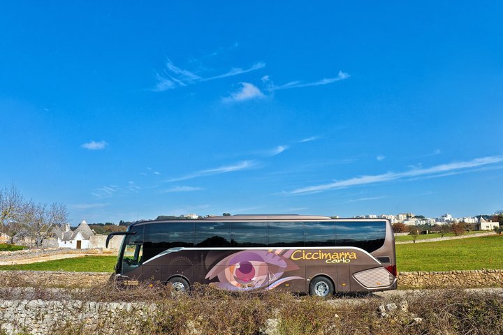 Discover Matera and Alberobello on tour from Valle d'Itria