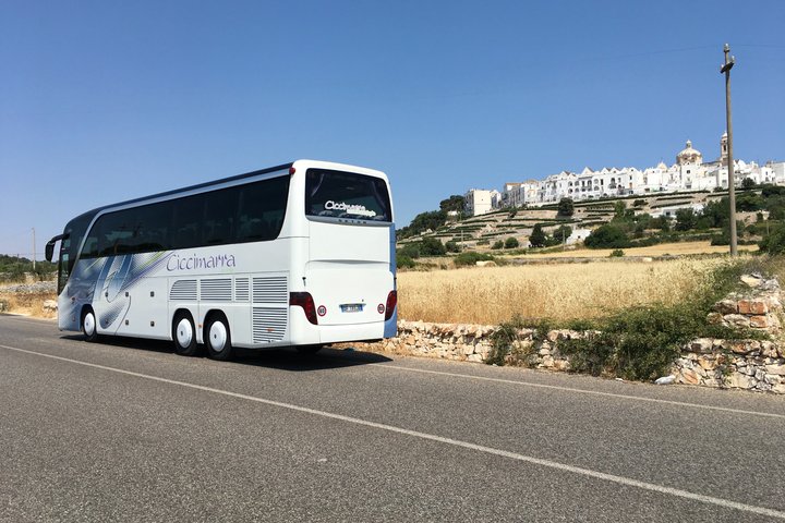 Discover Matera and Alberobello on tour from Valle d'Itria
