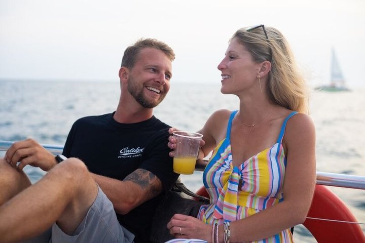 Dolphin & Sightseeing Cruise in Panama City Beach (1.5 hours)