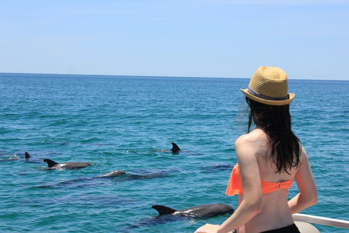 Panama City Beach Small Group Dolphin & Snorkel Tour (Max 6 )