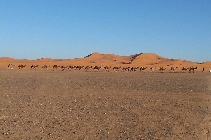 Private Taxi from Erfoud to Merzouga Desert