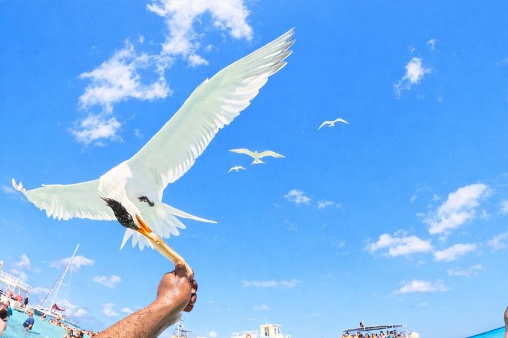 Ocean Blue Charters Private Boat Charters in the Cayman Islands