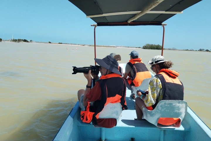 Rio Lagartos Private Flamingo Tour Hidden Beach Mud Bath