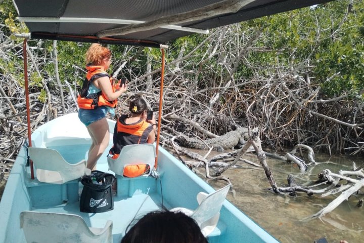 Rio Lagartos Private Flamingo Tour Hidden Beach Mud Bath