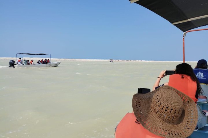 Rio Lagartos Private Flamingo Tour Hidden Beach Mud Bath
