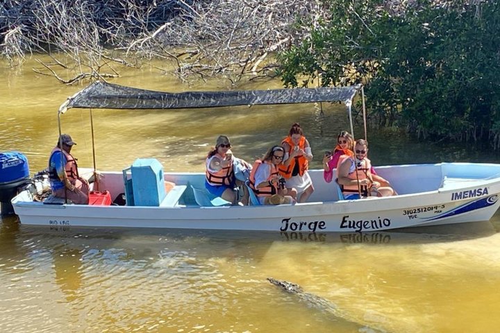 Rio Lagartos Private Flamingo Tour Hidden Beach Mud Bath