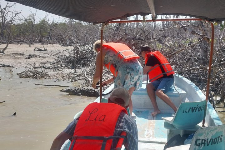 Rio Lagartos Private Flamingo Tour Hidden Beach Mud Bath