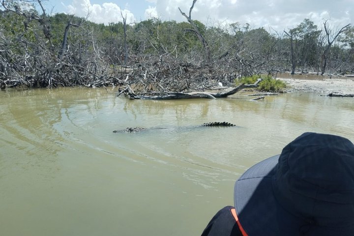 Rio Lagartos Private Flamingo Tour Hidden Beach Mud Bath