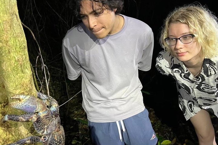 Okinawa Miyako Starry Night Jungle and Wildlife Tour with Pick Up