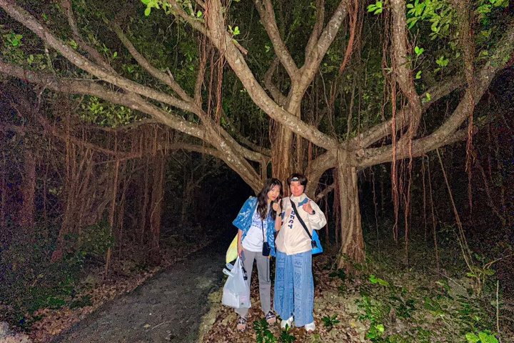 Okinawa Miyako Starry Night Jungle and Wildlife Tour with Pick Up