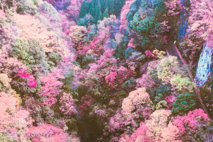 Takachiho Private Tour | Gorge, Cave, Train & Sea of Clouds