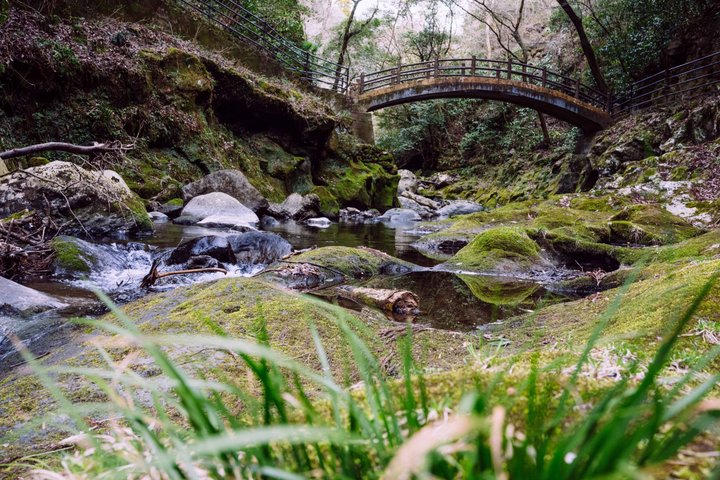 Takachiho Private Tour | Gorge, Cave, Train & Sea of Clouds