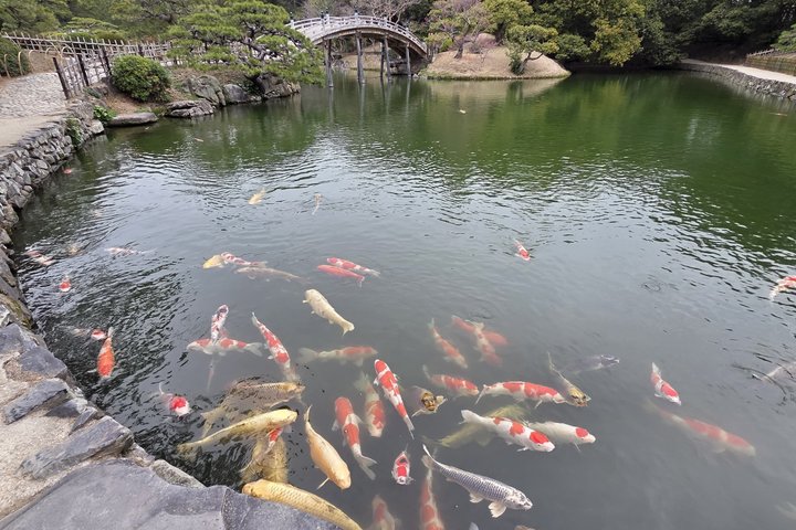 Essence of Takamatsu: Udon, Gardens, and Local Charm