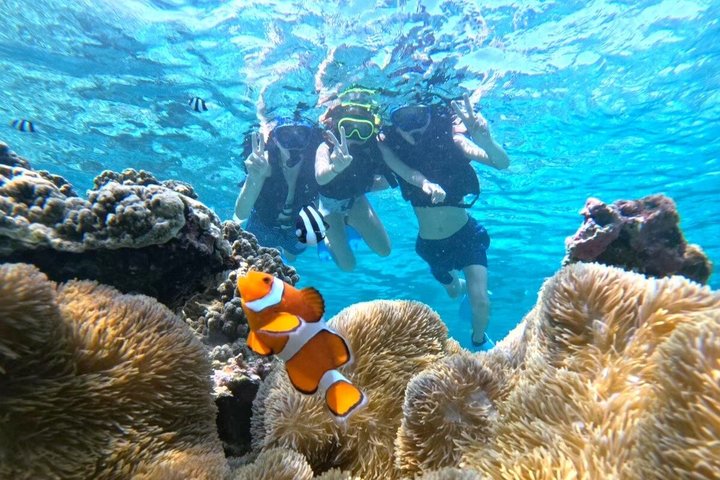 Okinawa Miyako Half Day Sea Turtle Snorkel with Free Photos