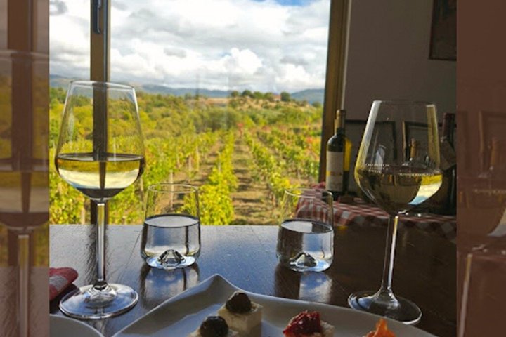 S&S Winery - Wine Tasting Experience in Ohrid