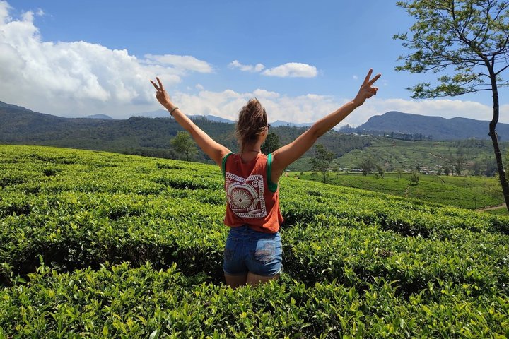 Nuwara Eilya Tea Plucking &Tasting waterfalls tours