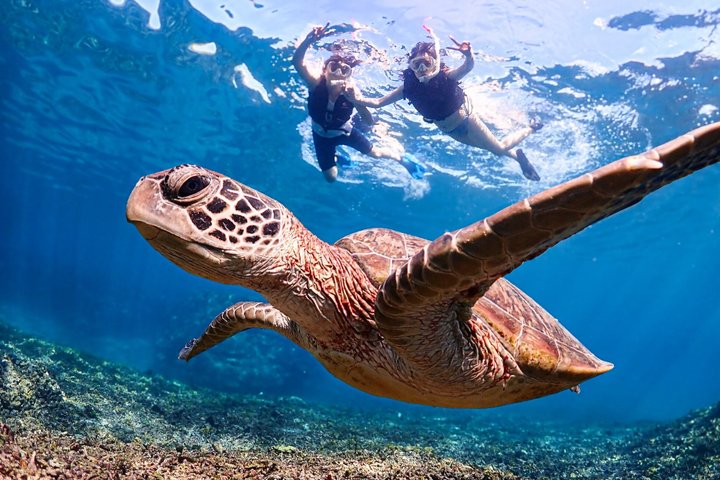 Okinawa Miyako Ultimate Day Trip SUP Snorkel Cave and Canoe