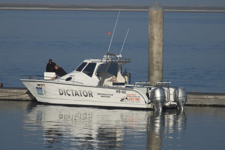 Marine Dune Day: Catamaran Cruise and Sandwich Harbor Dune Drive