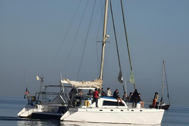Marine Dune Day: Catamaran Cruise and Sandwich Harbor Dune Drive