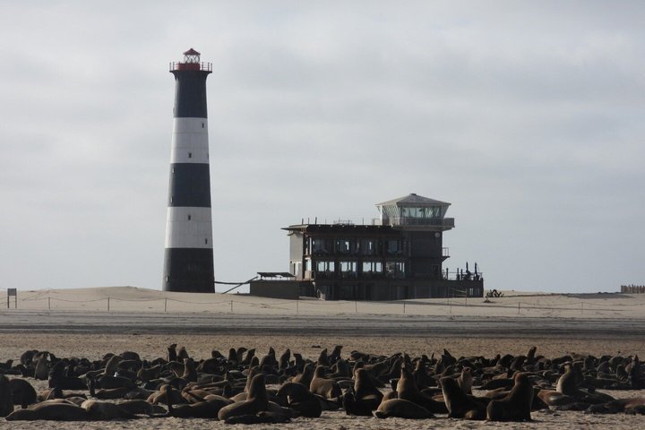Marine Dune Day: Catamaran Cruise and Sandwich Harbor Dune Drive