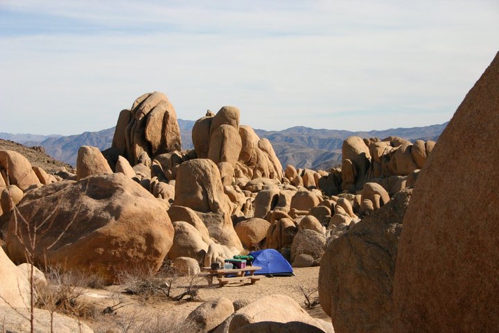 Joshua Tree National Park Small Group Day Tour from Los Angeles