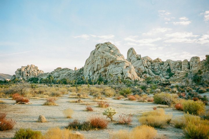 Joshua Tree National Park Small Group Day Tour from Los Angeles