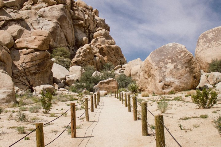 Joshua Tree National Park Small Group Day Tour from Los Angeles