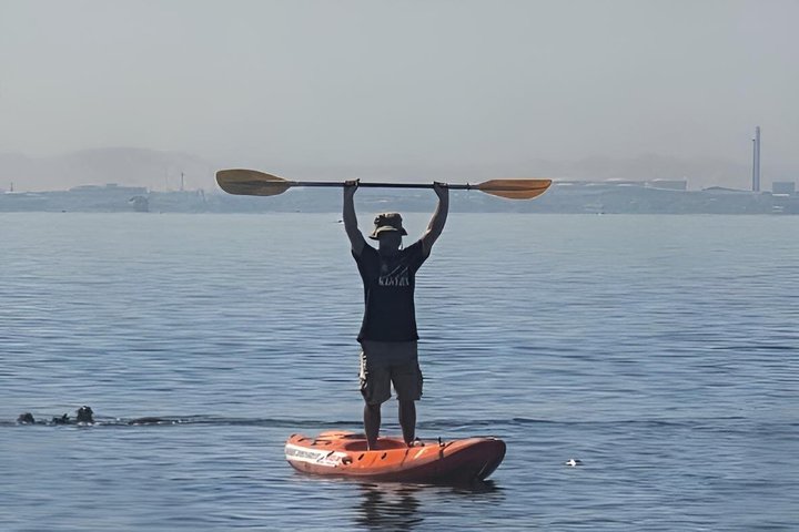 Seal Kayaking at Pelican Point from Swakopmund