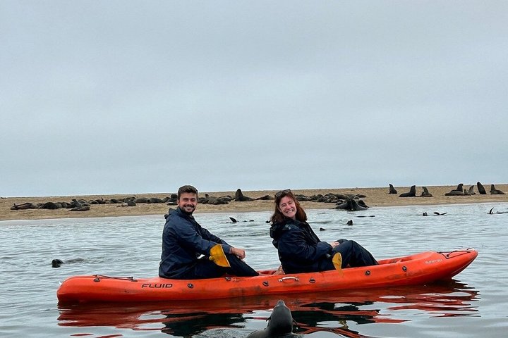 Seal Kayaking at Pelican Point from Swakopmund