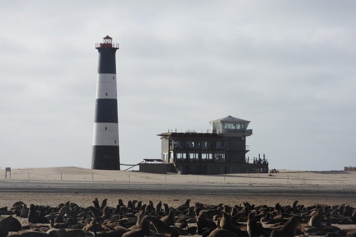 Seal Kayaking at Pelican Point from Swakopmund