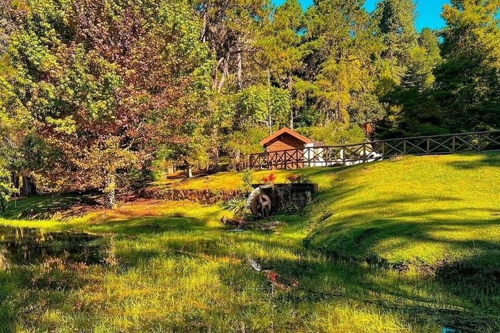 Vacation Package with 3 parks in Campos do Jordão