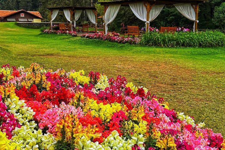 Vacation Package with 3 parks in Campos do Jordão