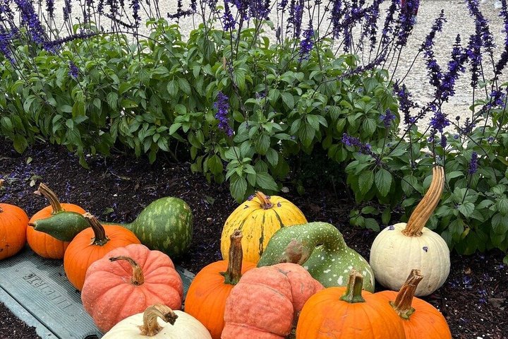 Chatham Bites and Sights Walking Guided Food Tasting Tour