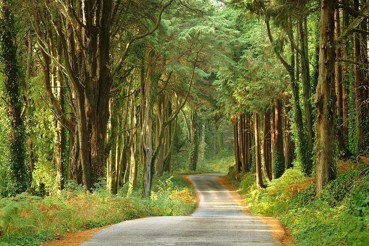 Private Tour to Sintra from Lisbon - Palaces, Gardens & Coast