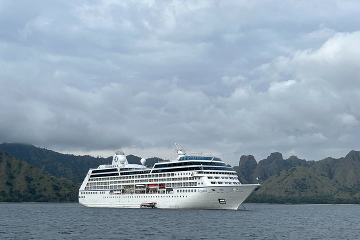 Top Komodo Island Shore Tour for passengers of Cruise Ship