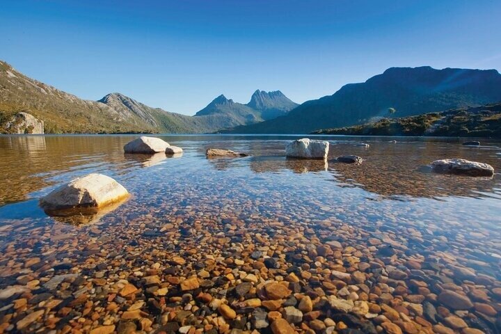 Cradle Mountain Day Tour from Launceston