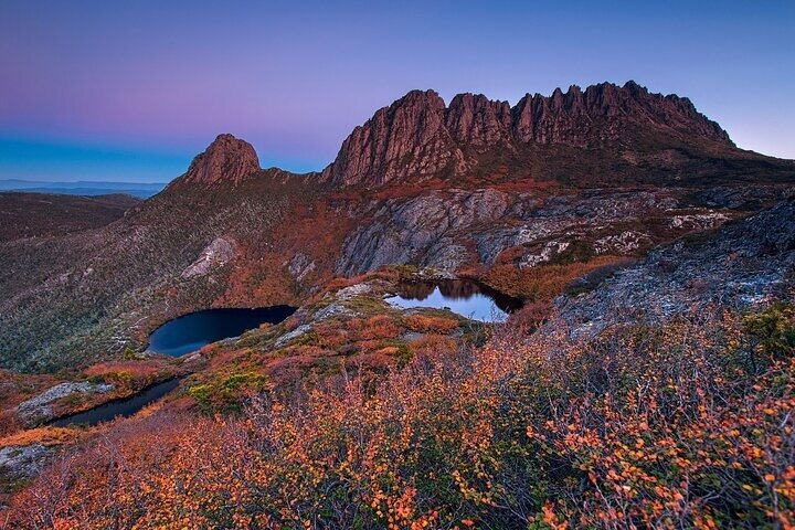 Cradle Mountain Day Tour from Launceston