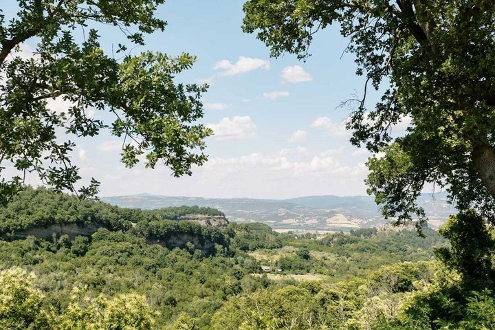 Winery Tour & Wine Tasting with Cheese & Charcuterie