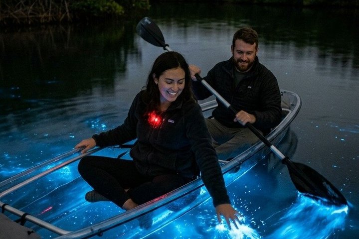 Bioluminescence Clear Kayak & Paddleboard Tour – Near Orlando