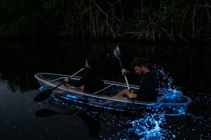 Bioluminescence Clear Kayak & Paddleboard Tour – Near Orlando