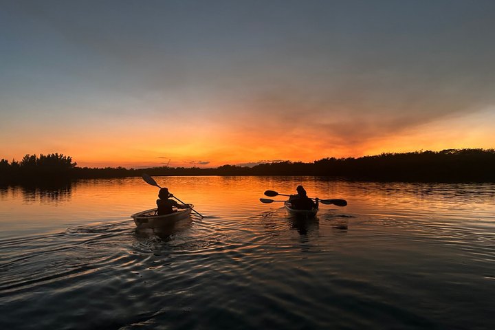 Bioluminescence Clear Kayak & Paddleboard Tour – Near Orlando