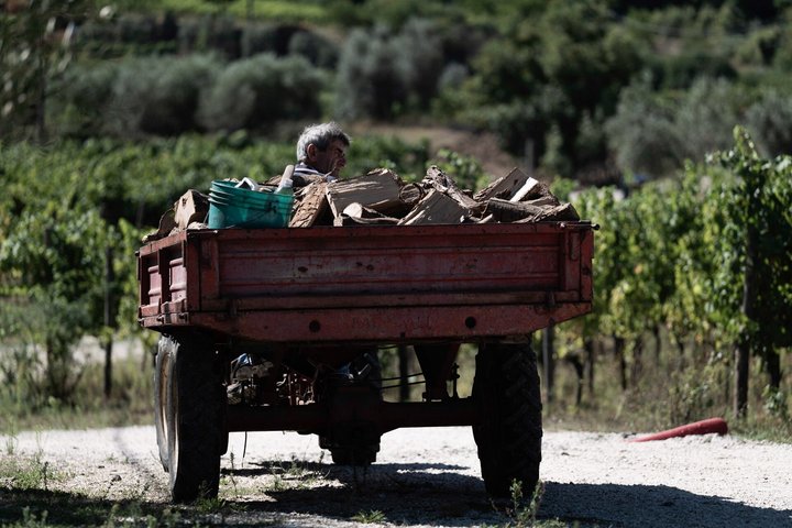 Winery Tour & Wine Tasting with Cheese & Charcuterie
