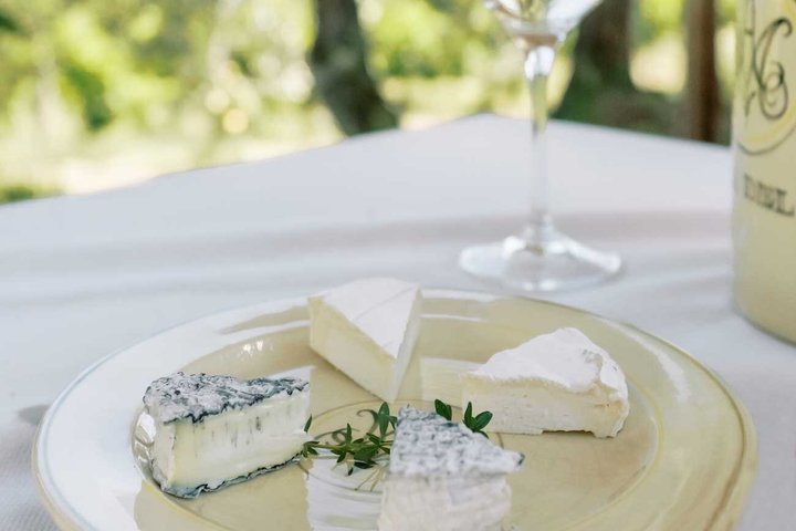 Winery Tour & Wine Tasting with Cheese at a Family Winery